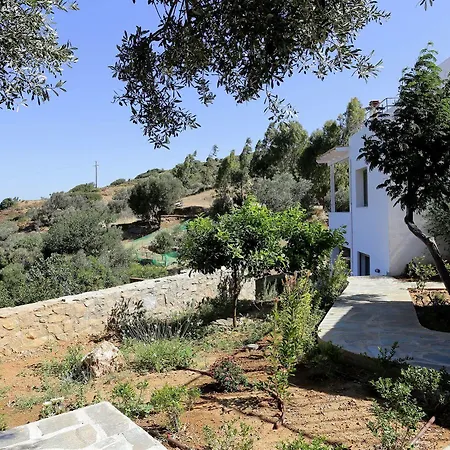 - Mourtzanakis فندق 3*