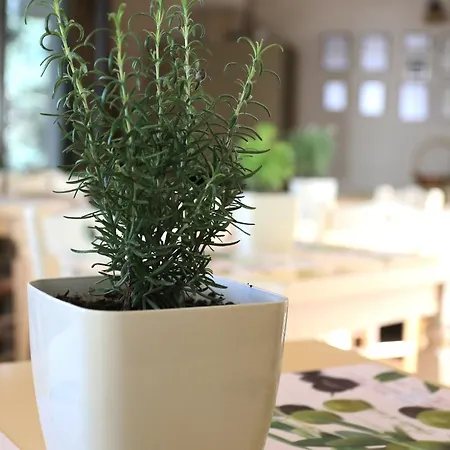 - Mourtzanakis Akhládha